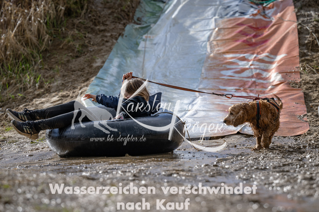 1550_ZZ91669 | kk-dogfotos