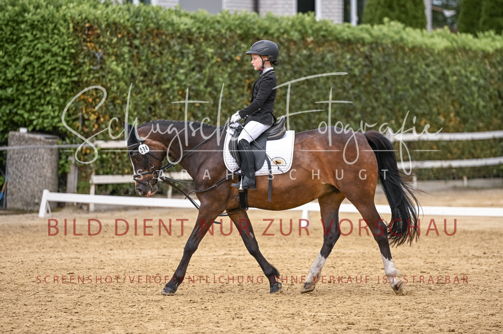 Schugtsche-Aluta25-46.ReiterWB_STG-159 | Schugtsche Fotografie - Realizzato con Pictrs.com