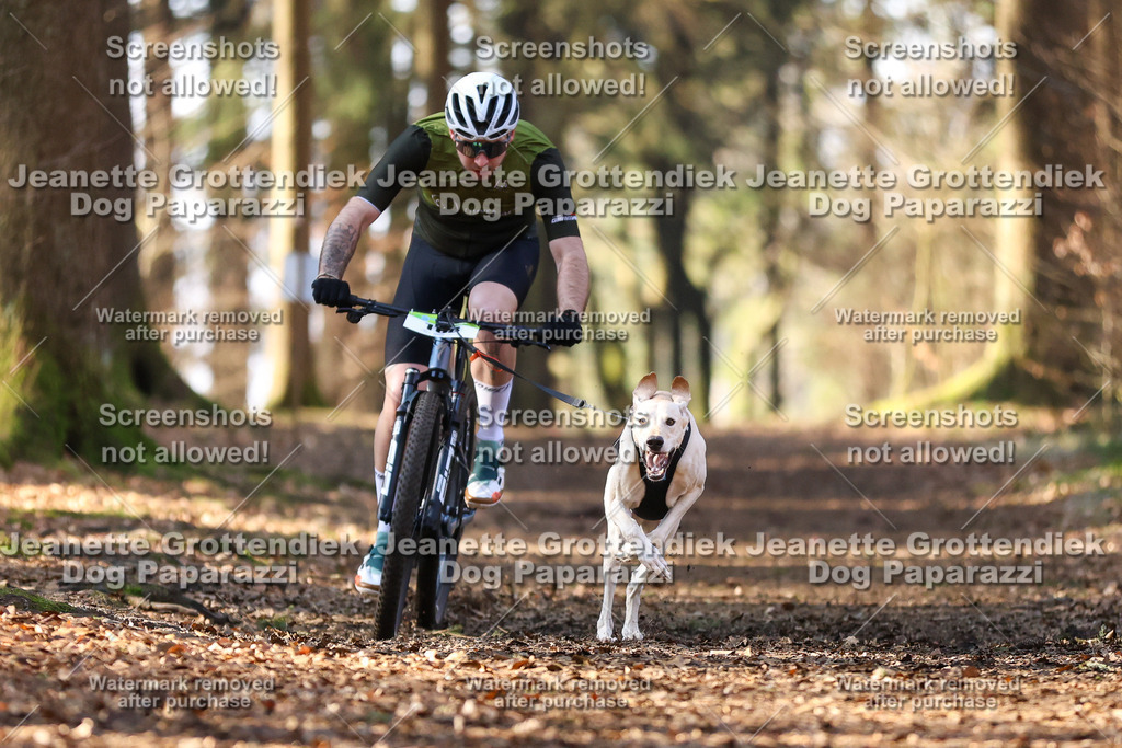 Dog Paparazzi - VCC26-922 | Dog Paparazzi Jeanette Grottendiek Fotografie & Videografie - Realisiert mit Pictrs.com