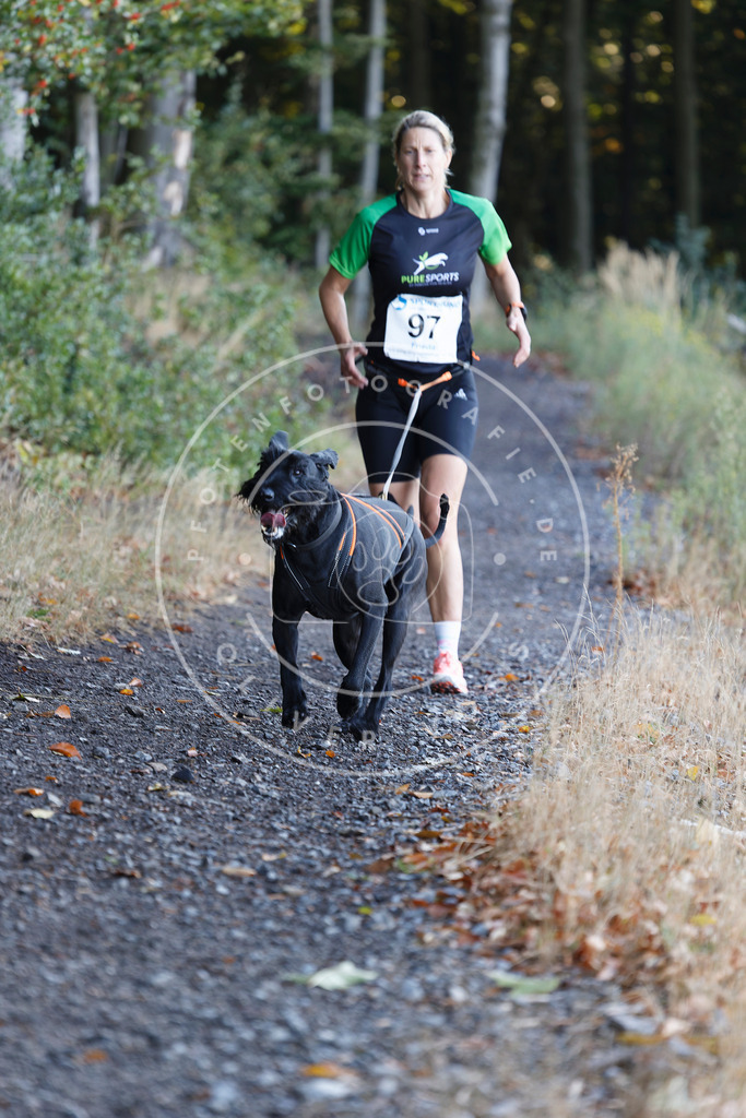 0L8A2240 | Hundefotografie, Tierfotograf, Pfotenfotografie, Fotoshooting Hund, Hunde Portrait, Hundesport, Hundeportraits, Heideshooting, Hunde, Sportfotograf, Hundefotograf, Turnierhundsport, THS,  - Realisiert mit Pictrs.com