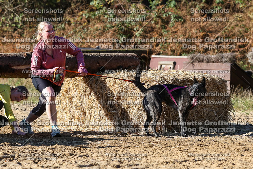 Dog Paparazzi - Strongdog 10-25-2598 | Dog Paparazzi Jeanette Grottendiek Fotografie & Videografie - Realisiert mit Pictrs.com