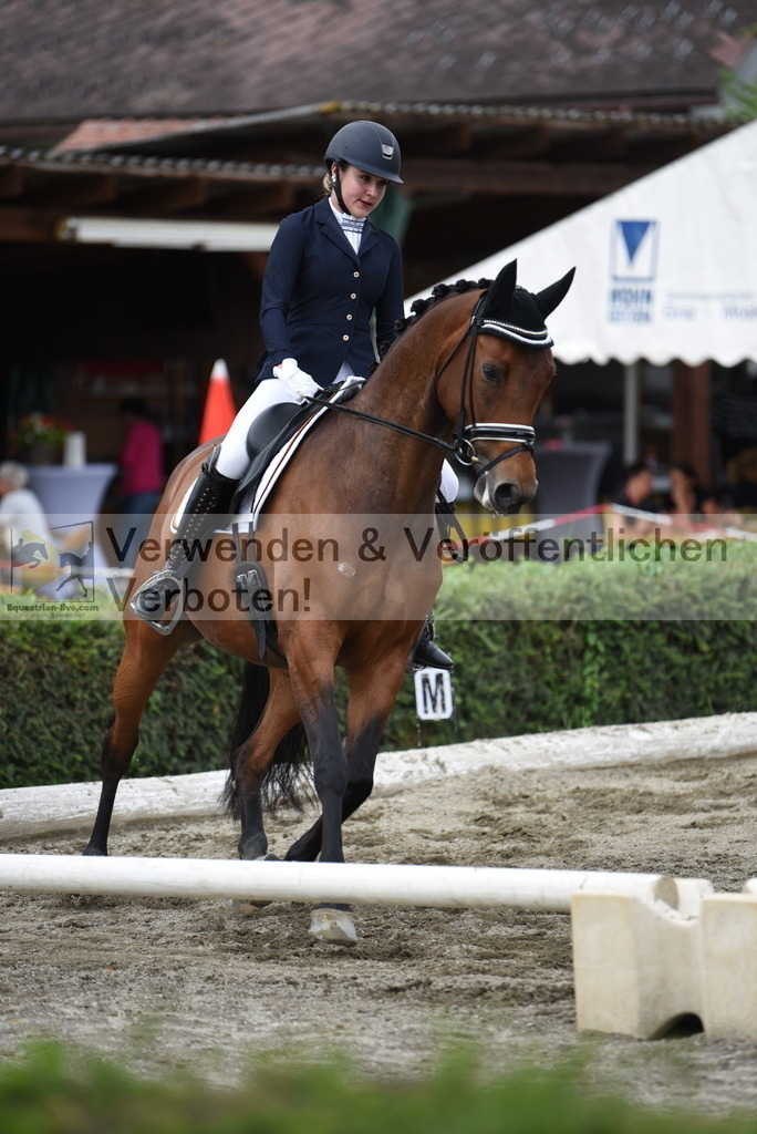 DSC_4237 | equestrian-live-com