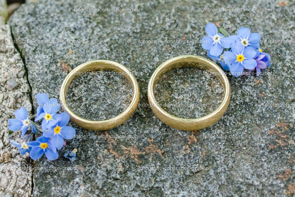 1012 | Fotografie Constance Gruber - Realisiert mit Pictrs.com