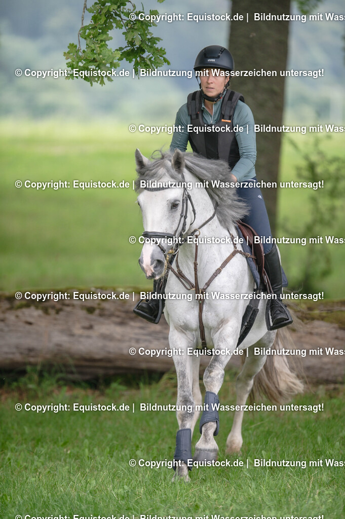 20250726_Vielseitigkeitslehrgang-Marbach_0538 | Foto: Thomas Hartig