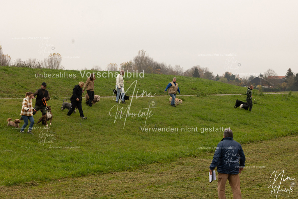 _16A0791 | Einzigartige Fotos von Hunden & Menschen –Actionfotos, Portraits, Vereinsaufnahmen & Paarshootings – authentisch, lebendig & mit Herz.