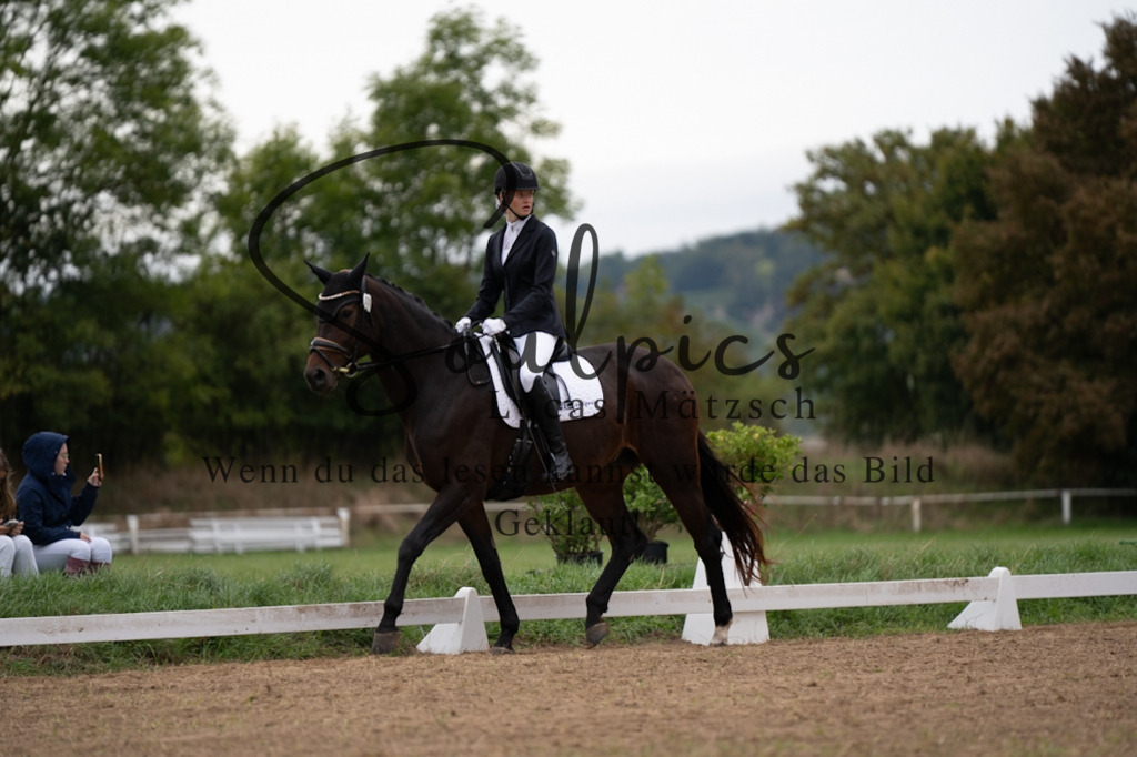 A7V05051 | Pferdefotograf