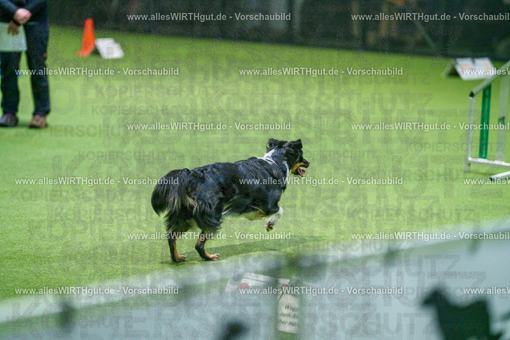 7R505377 | Professionelle Tierfotografie in Mönchengladbach von Daniel Wirth (allesWIRTHgut). Liebevolle & natürliche Bilder von Hunden & Katzen für unvergessliche Erinnerungen.