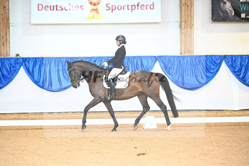 Kat-Nr. 43 Donna Galante_Scherer_14240800 | hf-fotografie - Realisiert mit Pictrs.com
