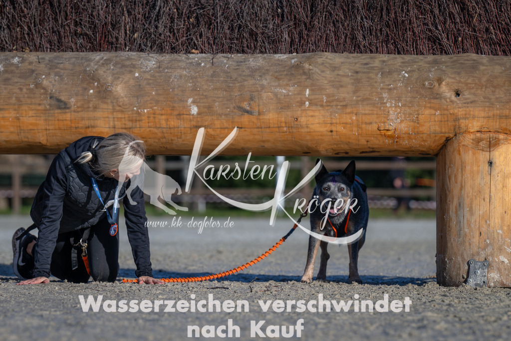 1033-_ZZ91629 | kk-dogfotos