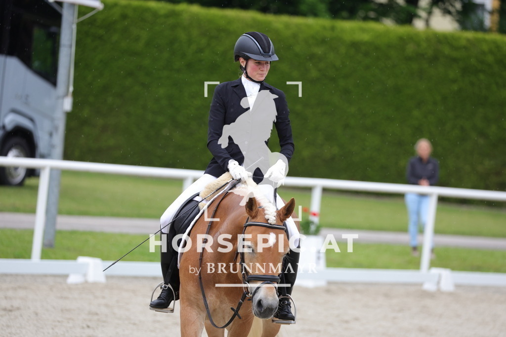 0P6A5271 | Willkommen bei Brunnmayr - Design & Fotografie – Ihrem Spezialisten für Reitturniere und Pferdeveranstaltungen in Oberösterreich, Salzburg und Bayern! Seit über 17 Jahren sind wir leidenschaftlich dabei.