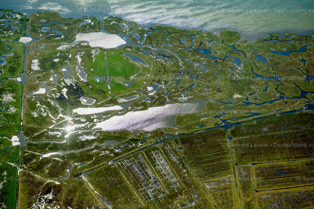 4061802 | Nationalpark Vorpommersche Boddenlandschaft, Große Kirr, Nationalpark Vorpommersche Boddenlandschaft, ZINGST 08.09.2021 Salzgrasland und Vogelschutz- Gebiet in Zingst an der Ostseeküste im Bundesland Mecklenburg-Vorpommern, Deutschland.