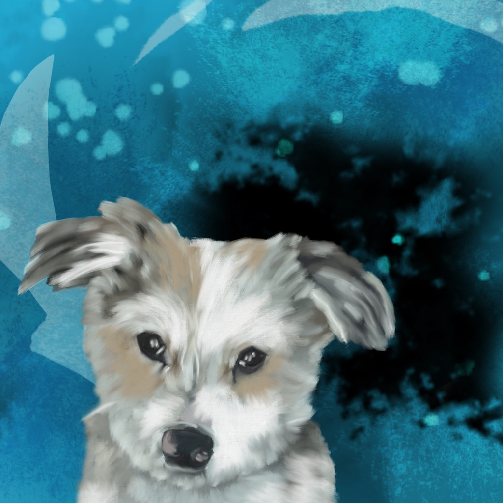 Hannes | Illustrationen, digitalpainting, animals, dogs, hunde, art, Kunst, Illustrationsart, Bielefeld, Germany - Realisiert mit Pictrs.com