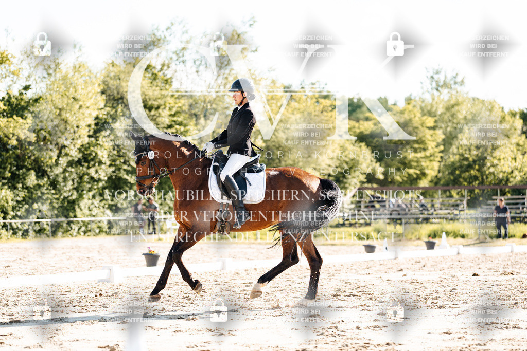 CK909871 | Turnierfotografie Pferdefotografie Trier Rheinland-Pfalz Pferdesport Reitsport Tierfotografie Sportfotografie Pferdevideo Pferdevideografie Equestrianvideography equestrianphotography  - Realisiert mit Pictrs.com