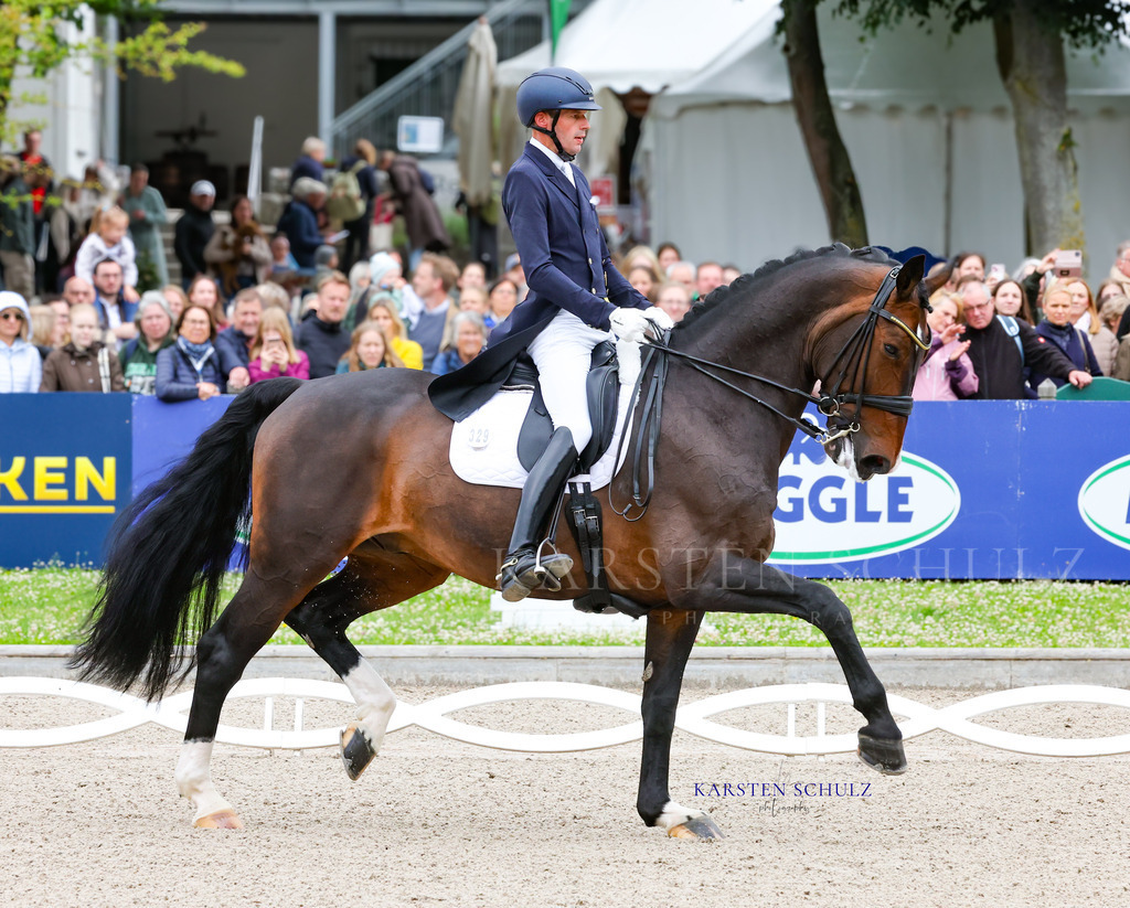 1B3A7554 | Reitsport Reiten