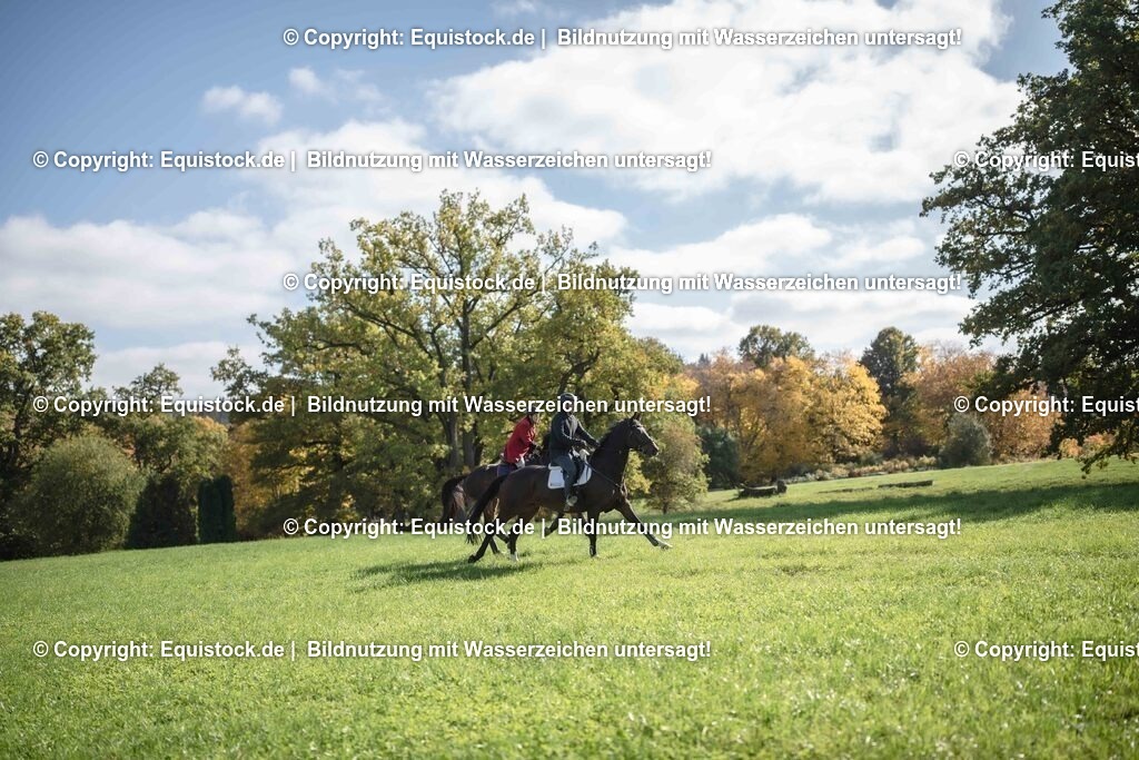 20251011_Jagd-Marbach_0362 | Foto: Thomas Hartig