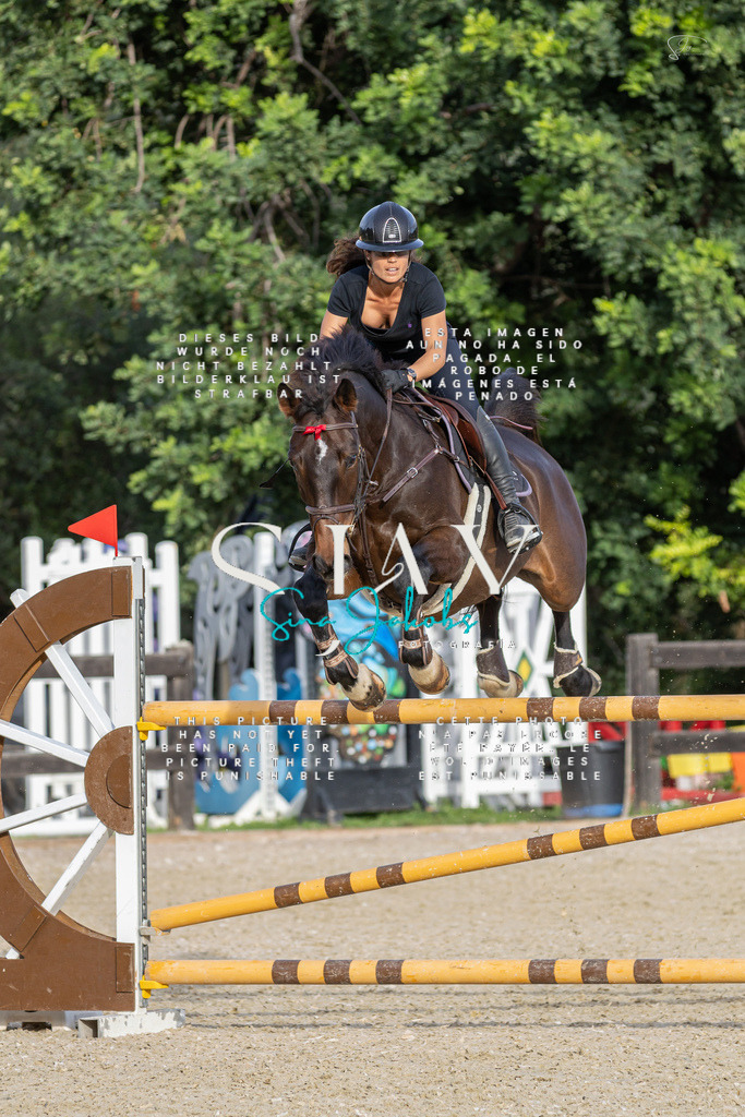 IMG_4719 | s-jay-photography - Realisiert mit Pictrs.com