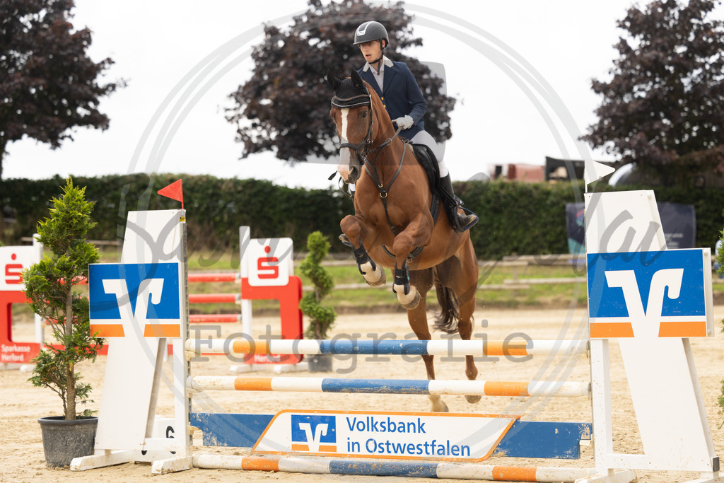 994A7754 | sabrinanicolaifotografie - Realisiert mit Pictrs.com