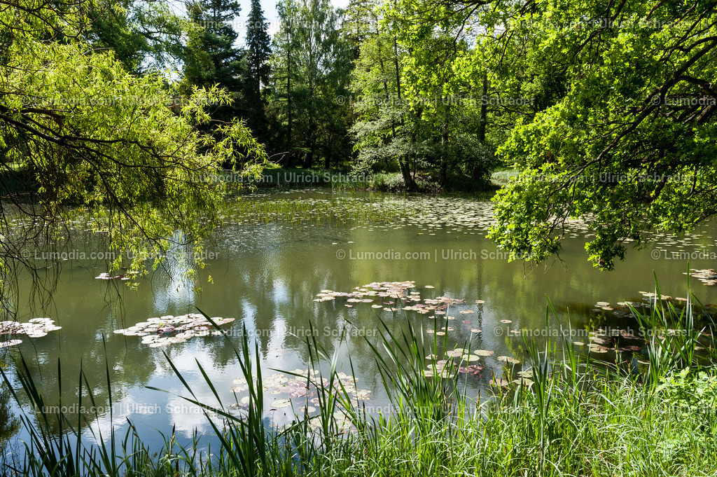 10049-1625 - Stadtpark Tangerhütte | Stockfoto und Bilderpool mit Bildmaterial aus Deutschland, dem Harz, Halberstadt, Quedlinburg, Wernigerode und weltweit. Qualitativ hochwertige und professionelle Fotos anschauen und kaufen. - Realisiert mit Pictrs.com
