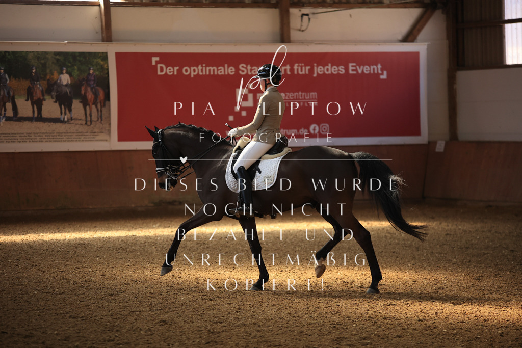 IMGT2625 | pl-fotografie