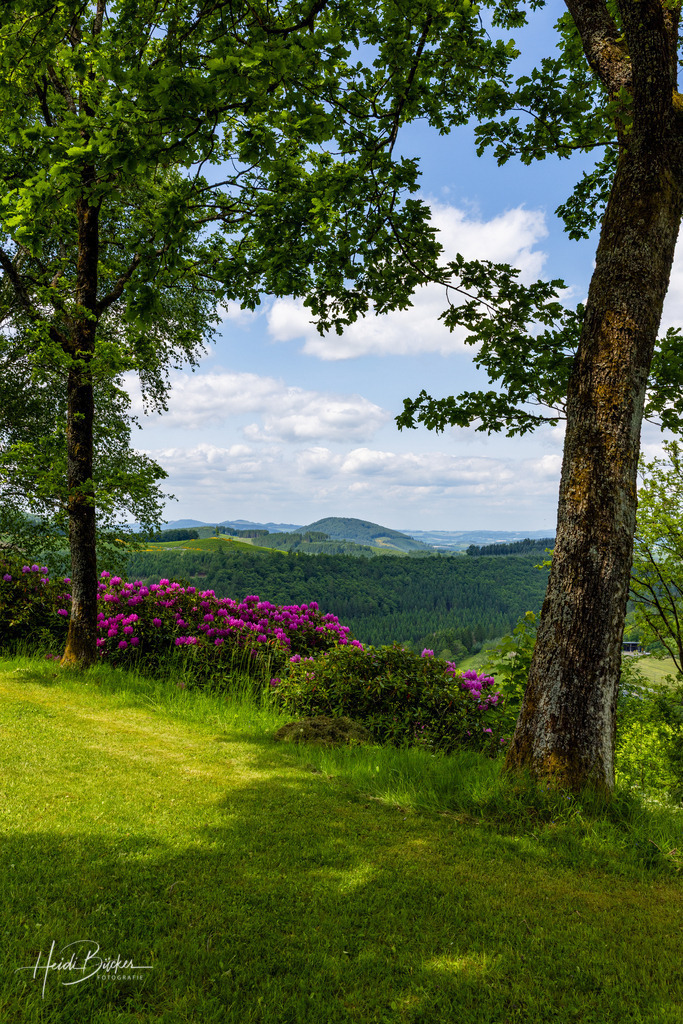 Westfeld und Umgebung 020 | Bilder und Impressionen zu jeder Jahreszeit aus dem Sauerland im Naturpark Sauerland-Rothaargebirge - Realisiert mit Pictrs.com