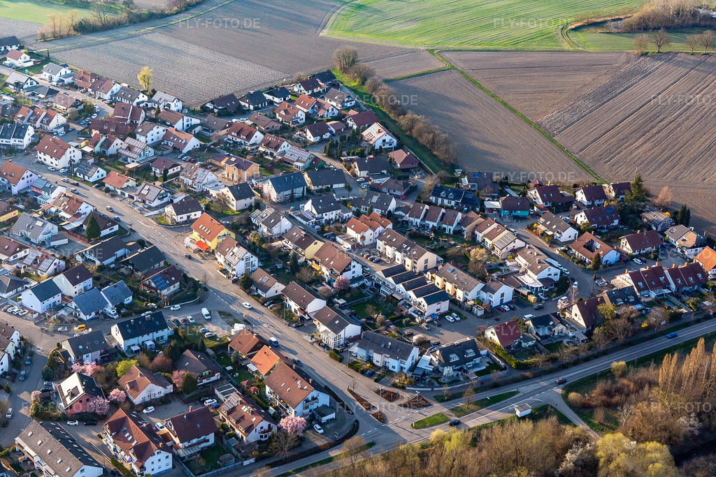 Luftbild: Trifelsstr in Hagenbach im Bundesland Rheinland-Pfalz in Deutschland. Foto: IMG_131028.jpg vom 22.03.2022 durch Werner Riehm/FLY-FOTO.de