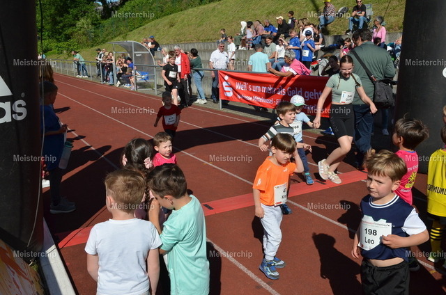 DSC_1577 | Meisterchip Fotoshop - Realisiert mit Pictrs.com