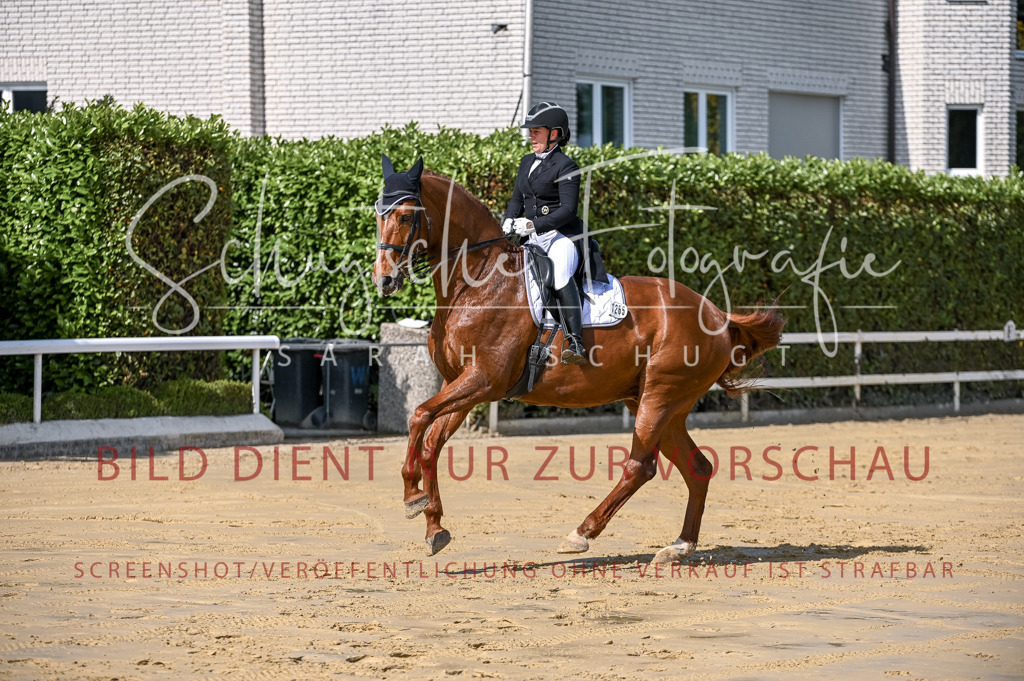 Schugtsche-Aluta25-58. Dressurprf.S1Kand.St.GeorgSpecial-228 | Schugtsche Fotografie - Realisiert mit Pictrs.com