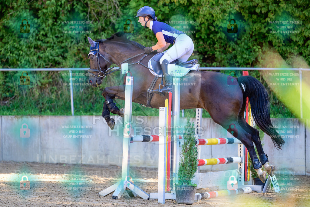 29082026-Giesenbach-Prfg10-0474 | Fokus Hufschlag Fotografie - Realisiert mit Pictrs.com