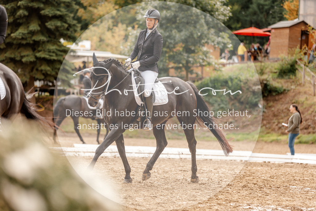 3I6A7824 | Stimmungsvolle Portraits und Reitsportfotografie im Ruhrgebiet und im Münsterland.

Pferdefotografie, Hundefotografie, Tierfotografie, Reportagen, Portraits von Tier und Mensch, Turnierfotografie in Bochum, Recklinghausen, Marl, Haltern am See, Dülmen.. - Realisiert mit Pictrs.com