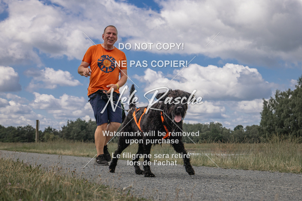 nelerasche_BuHu2026_SaCC1100-1200_50 | nelerasche