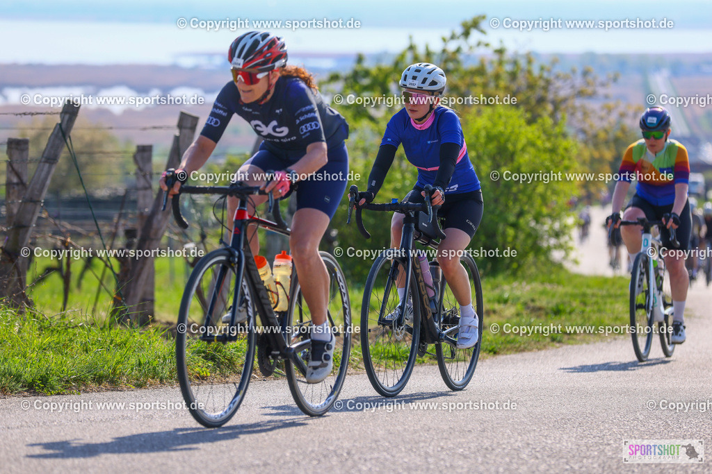 TRA_0343 | Neusiedlersee Radmarathon 2026@sportshot_your_pictrs #yourpictures#roadtowm2029 #nrm #neusiedlerseeradmarathon #neusiedlersee #neusiedlerseetourismus #burgenland #mörbisch #nrm26 #burgenlandtourismus #voglundco #poweredbyburgenlandtourismus #radsport #rad #marathon #ucigranfondo #visitburgenland #ucigranfondoworldseries