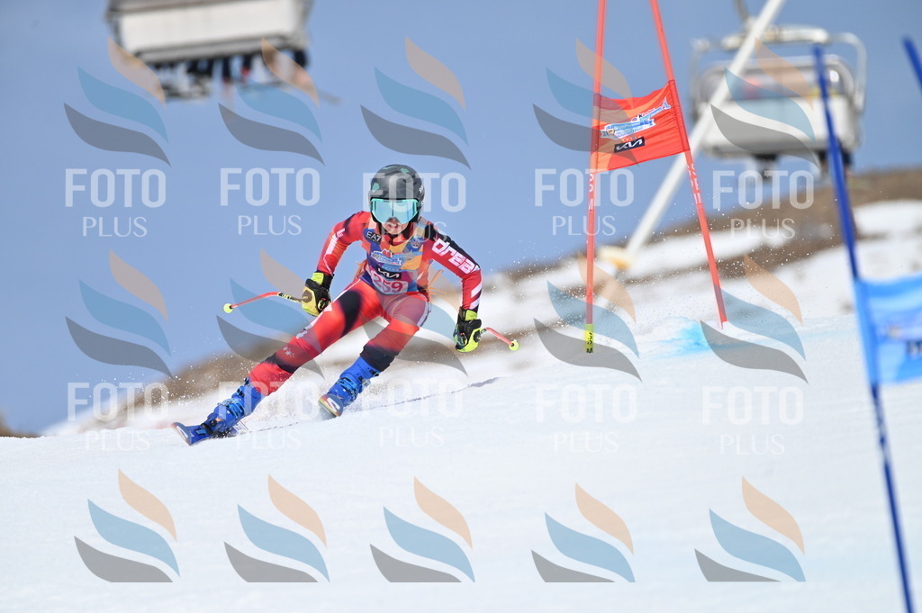 BGV_2042 | holidayphoto