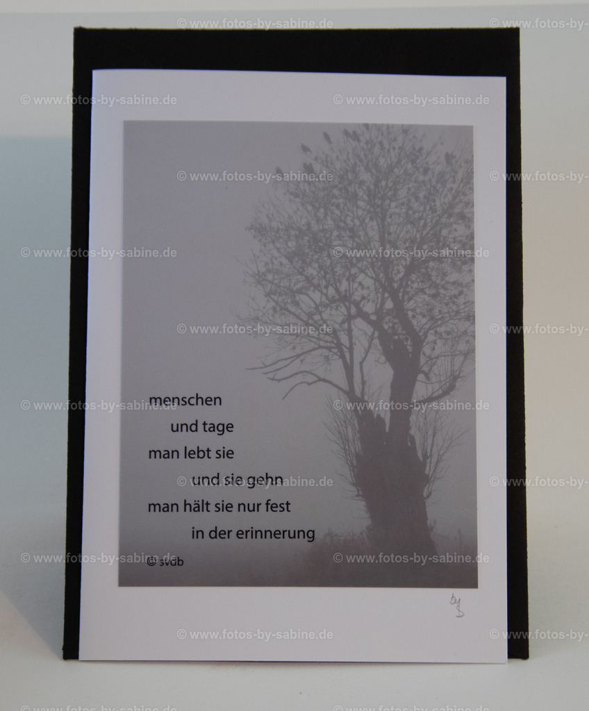 DSC_9070 | fotos-by-sabine - Realisiert mit Pictrs.com