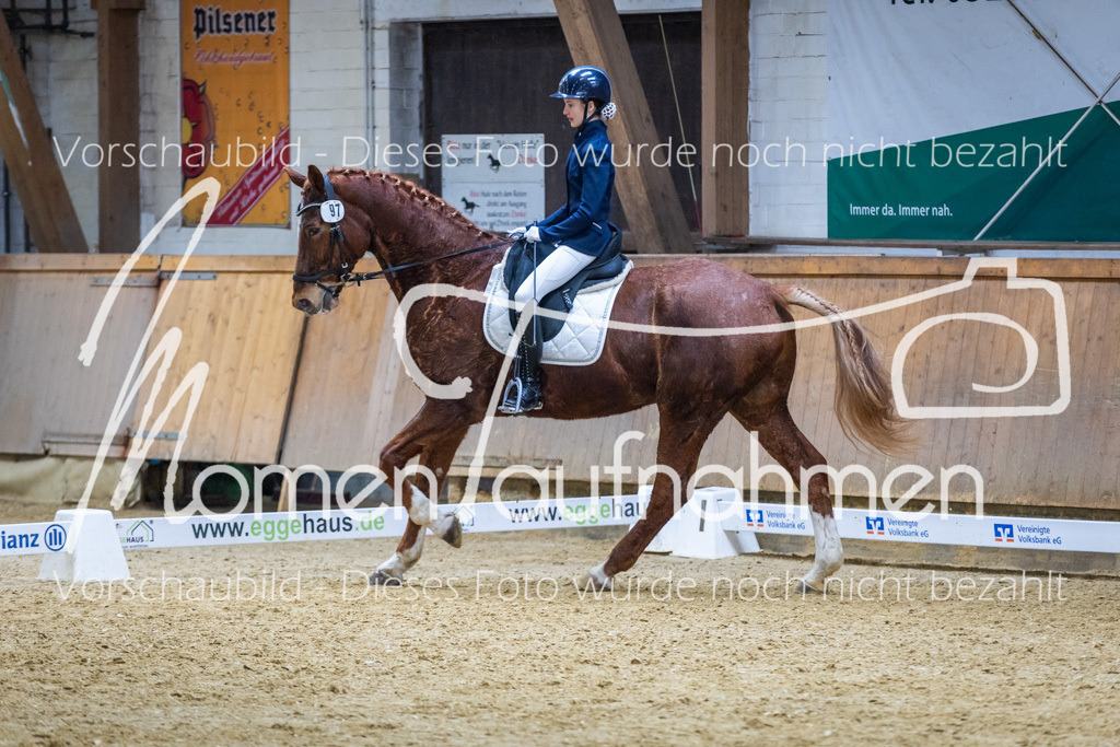 Sth-WBO25-EDr-138 | MomenTaufnahmen Pferdesportfotos