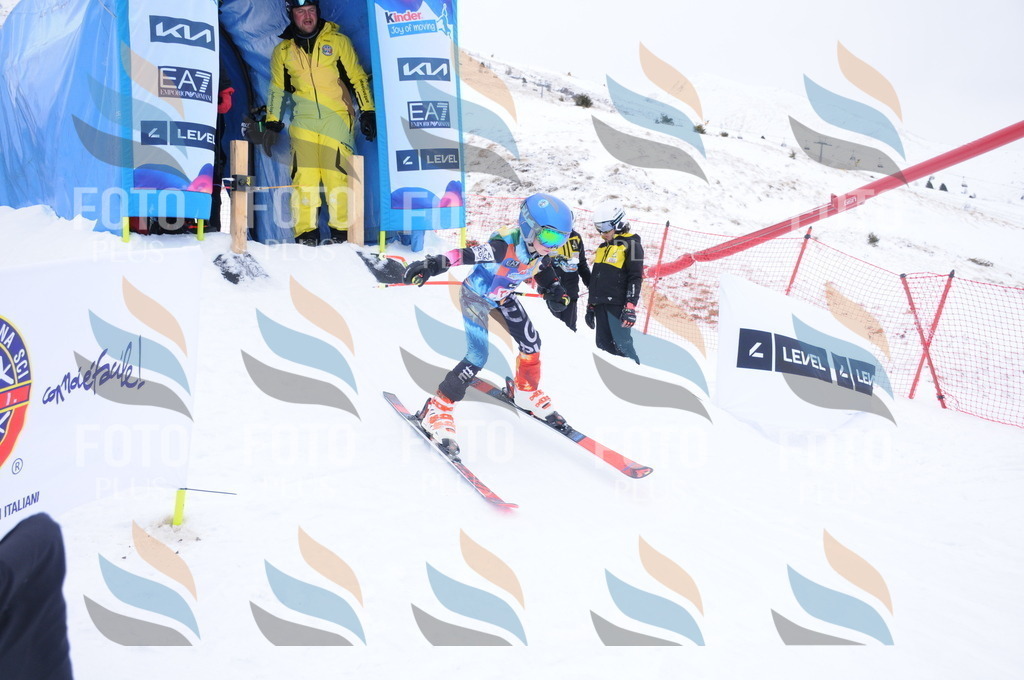 DSC_9001 | holidayphoto