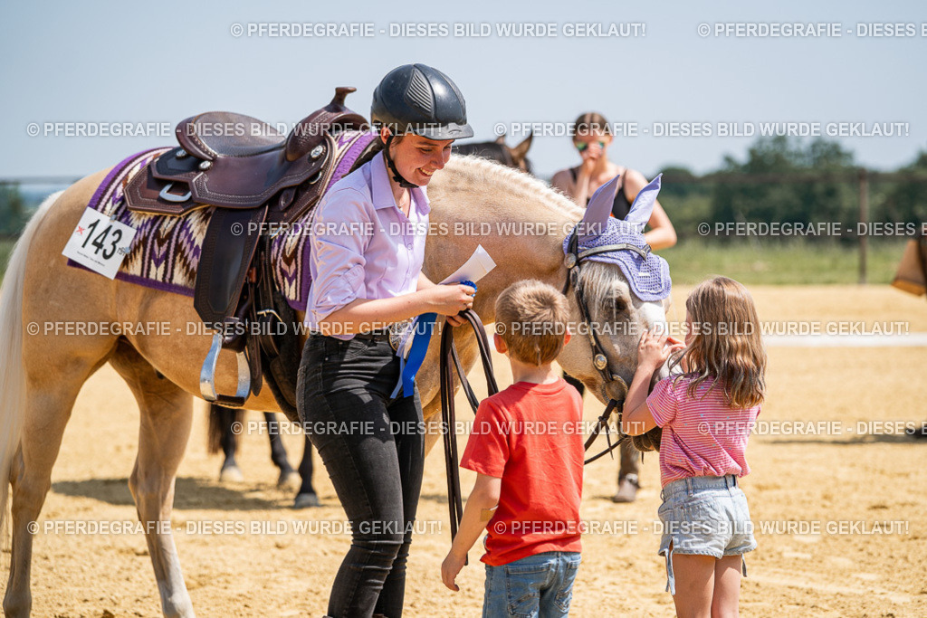 DSC01409 | Pferdegrafie