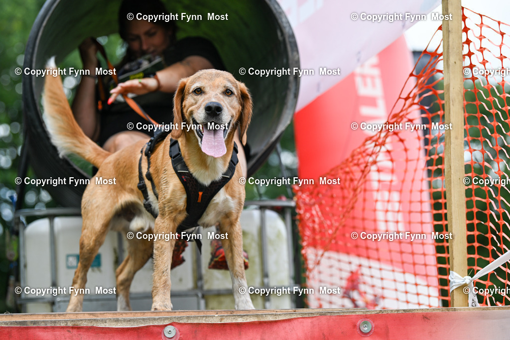 DSC_4408 | Hallo und herzlich Willkommen auf meiner Shop-Seite Fynn Most.

Ich wünsche Dir viel Spaß beim stöbern durch die Bilder, wenn Du Fragen hast oder Bilder vermisst, kannst du mir gerne eine Nachricht schreiben. - Realisiert mit Pictrs.com