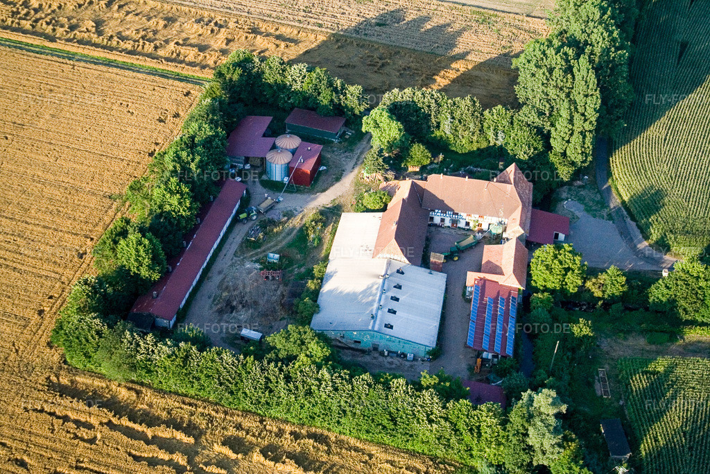 Luftbild: am Erlenbach, Leistenmühle in Kandel im Bundesland Rheinland-Pfalz in Deutschland. Foto: IMG_11781.jpg vom 25.07.2008 durch Werner Riehm/FLY-FOTO.de