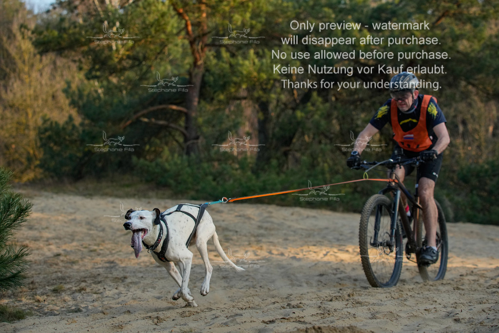 So_Bike-320 | stephaniefillaphotographie - Realisiert mit Pictrs.com