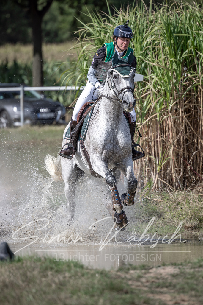 20250907-_3LI1706 | Tierfotografie Pferde, Hunde, Katzen, Haustiere.
Turnierfotografie Reitturniere, Reiten, Springreiten, Dressur in Hanau, dem Main-Kinzig-Kreis und dem Rhein-Main- Gebiet um Frankfurt