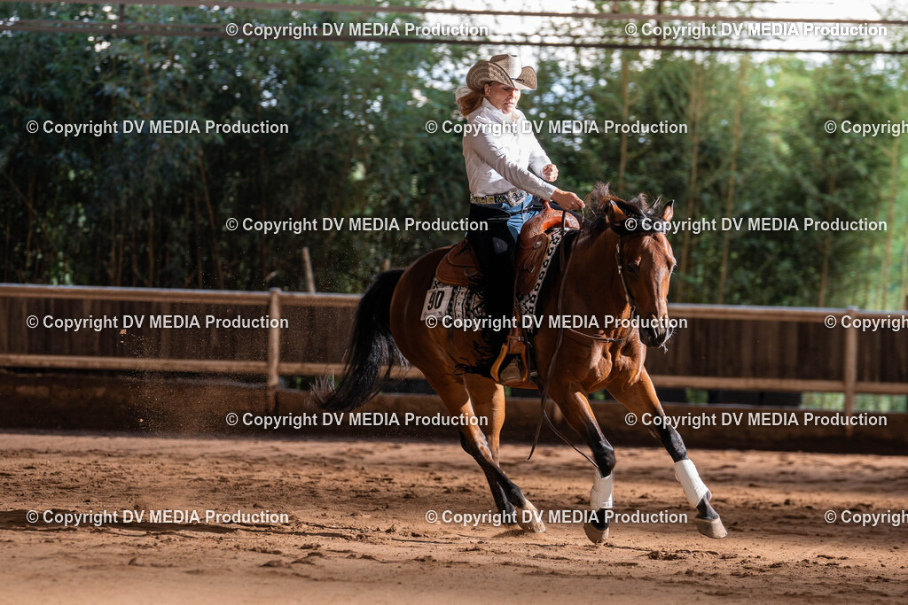 Erbach Tag 2-1043 | dv-media-shop - Realisiert mit Pictrs.com