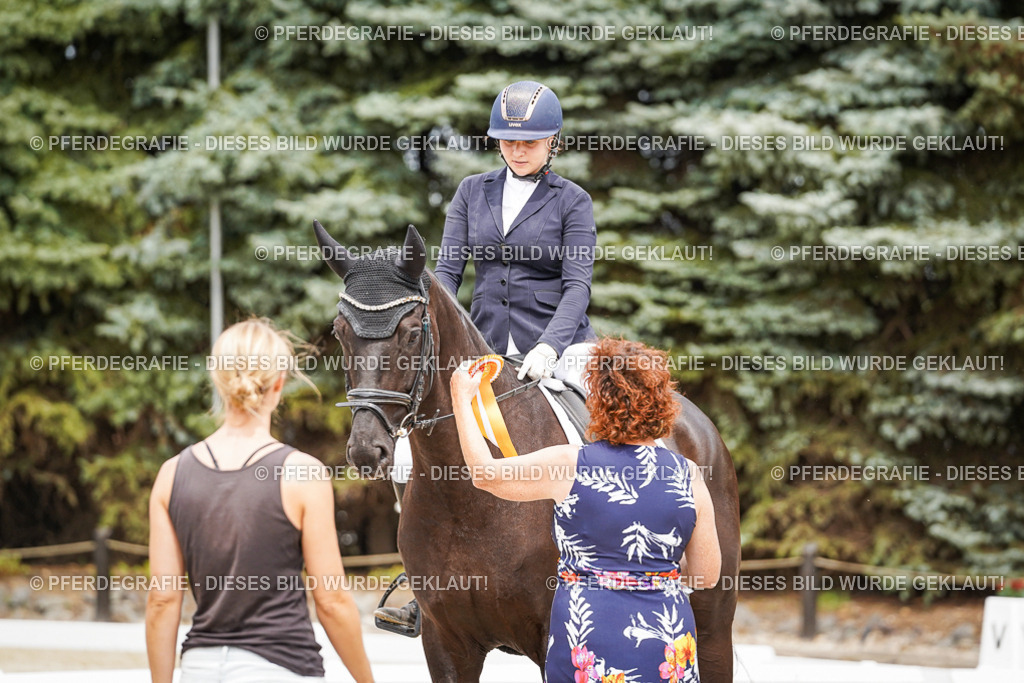 DSC04532 | Pferdegrafie