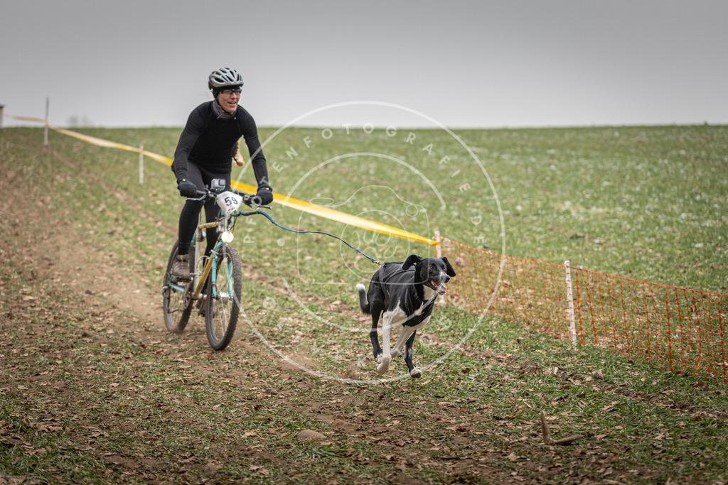 Pfotenfotografie_DV3A2610 | Hundefotografie, Tierfotograf, Pfotenfotografie, Fotoshooting Hund, Hunde Portrait, Hundesport, Hundeportraits, Heideshooting, Hunde, Sportfotograf, Hundefotograf, Turnierhundsport, THS,  - Realisiert mit Pictrs.com