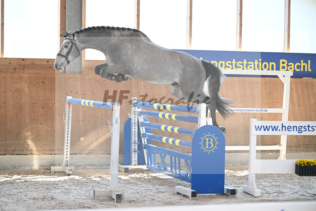 Kat-Nr. 71 HTCBs Casalgino Ve v. Vingino_Barlaup_14261740 | hf-fotografie - Realisiert mit Pictrs.com