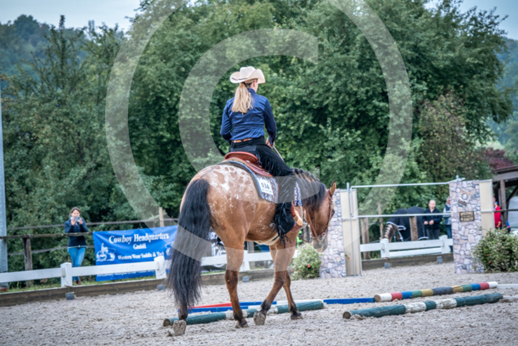 HEB07936-2 | BS-foto