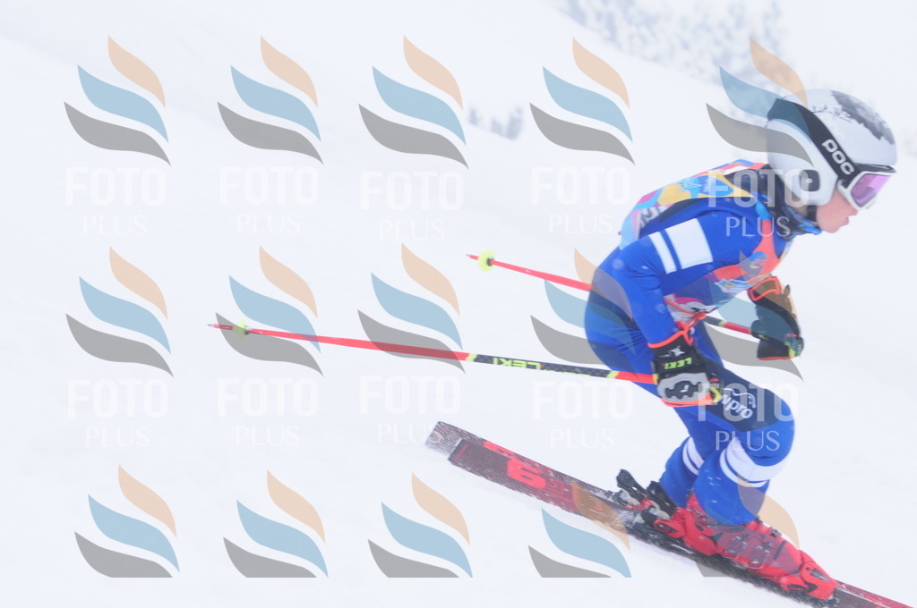 C2182 | holidayphoto