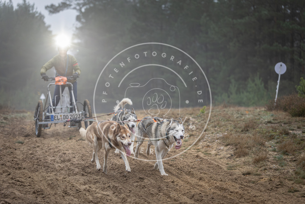 Pfotenfotografie_DV3A0671 | Hundefotografie, Tierfotograf, Pfotenfotografie, Fotoshooting Hund, Hunde Portrait, Hundesport, Hundeportraits, Heideshooting, Hunde, Sportfotograf, Hundefotograf, Turnierhundsport, THS,  - Realisiert mit Pictrs.com
