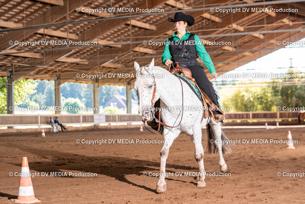 Erbach Tag 3-360 | dv-media-shop - Realisiert mit Pictrs.com