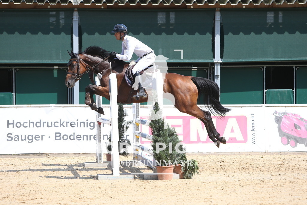 DL2Q0704 | Willkommen bei Brunnmayr - Design & Fotografie – Ihrem Spezialisten für Reitturniere und Pferdeveranstaltungen in Oberösterreich, Salzburg und Bayern! Seit über 17 Jahren sind wir leidenschaftlich dabei.