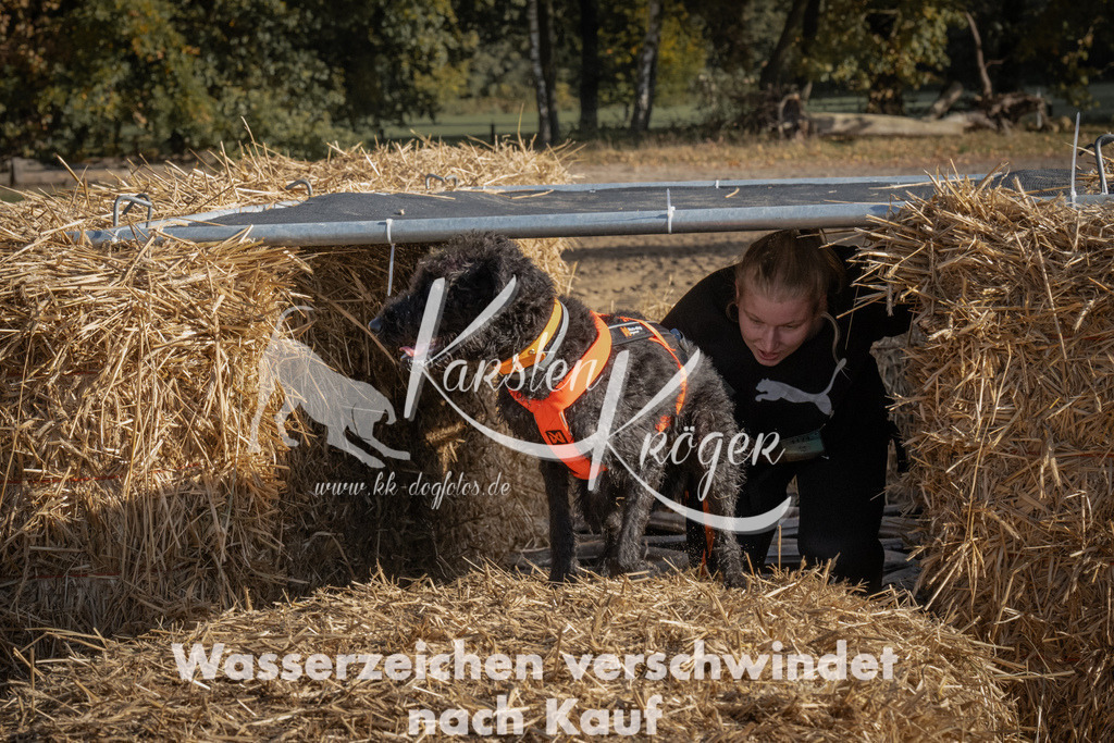 1051_ZZ99426 | kk-dogfotos